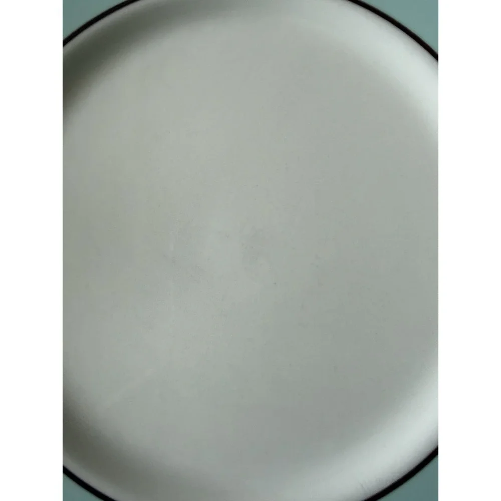 2 Crate & Barrel Pagnossin Audrey Robin's Egg Blue Dinner Plates 10 3/4